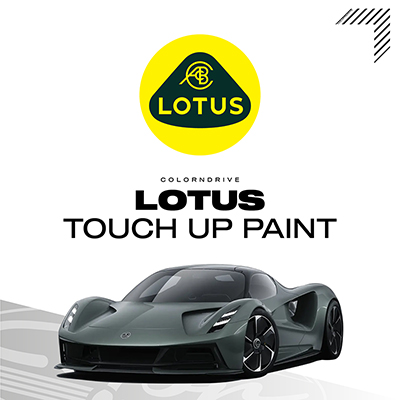 LOTUS Touch Up Paint Kit