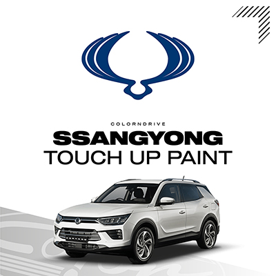 SSANGYONG Touch Up Paint Kit