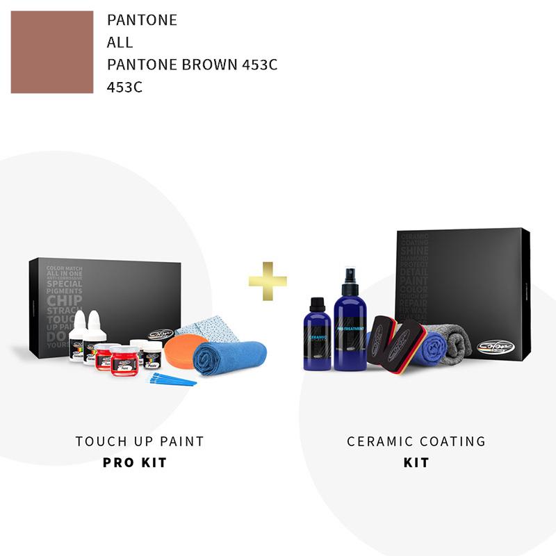 Pantone ALL Pantone Brown 453C 453C Touch Up Paint Kit Pantone Touch Up Paint Color N Drive