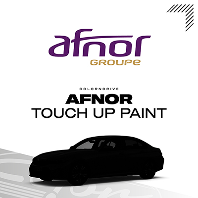 AFNOR Touch Up Paint Kit