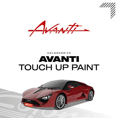 AVANTI Touch Up Paint Kit