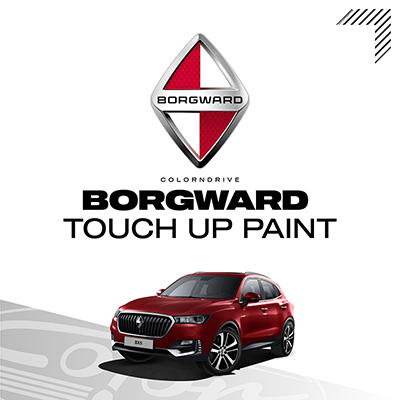 Borgward Touch Up Paint Kit