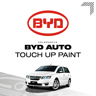 Byd Auto Touch Up Paint Kit