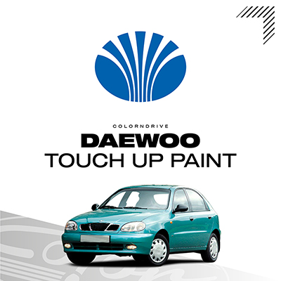 DAEWOO Touch Up Paint Kit
