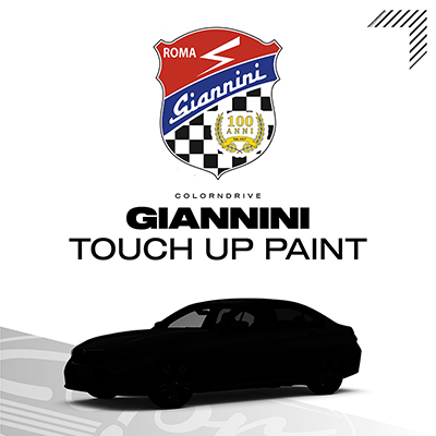 Giannini Touch Up Paint Kit
