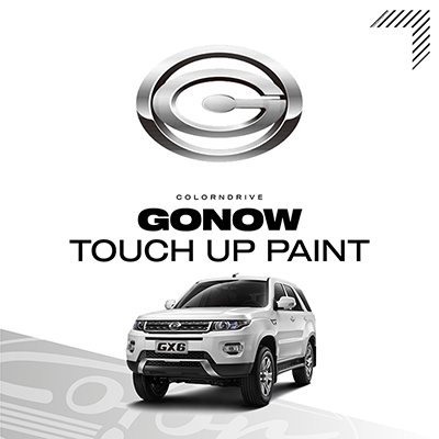 Gonow Touch Up Paint Kit