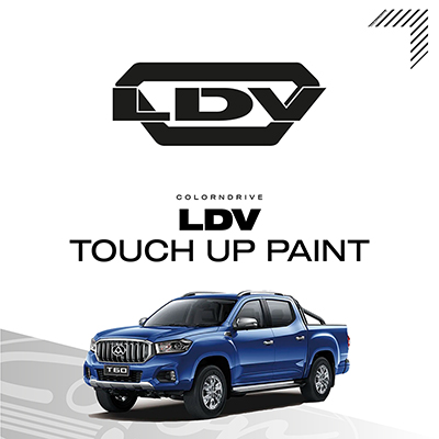 LDV Touch Up Paint Kit