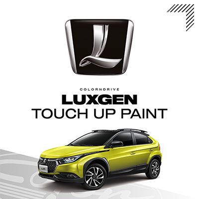 Luxgen Touch Up Paint Kit