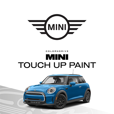 Mini Touch Up Paint Kit