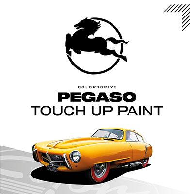 Pegaso Touch Up Paint Kit