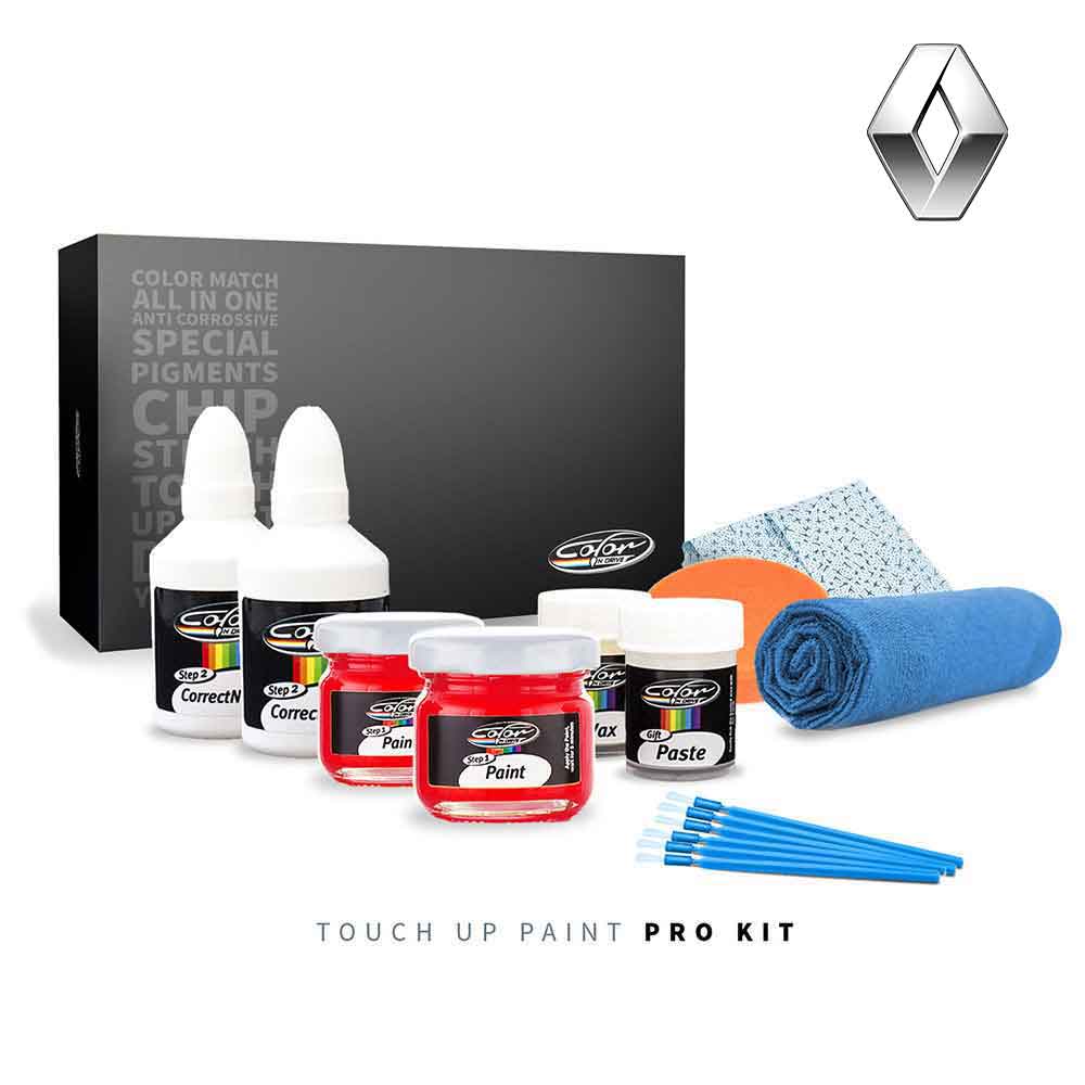 Renault Touch Up Paint Kit
