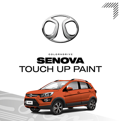 SENOVA Touch Up Paint Kit