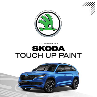 OKTAVIA RS Touch Up Paint Kit