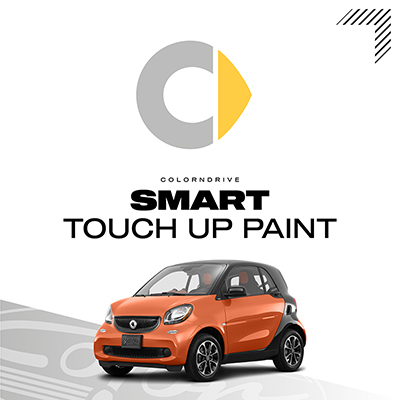 Smart Touch Up Paint Kit
