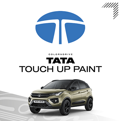 TATA Touch Up Paint Kit