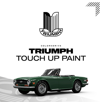 TRIUMPH Touch Up Paint Kit