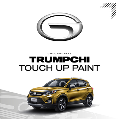 Trumpchi Touch Up Paint Kit