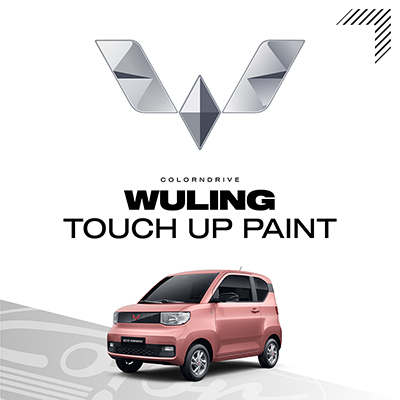 WULING Touch Up Paint Kit
