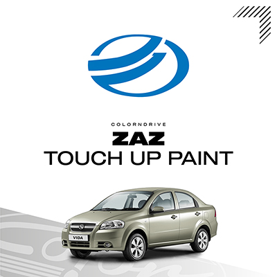 ZAZ Touch Up Paint Kit