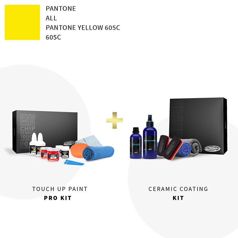 Pantone ALL Pantone Yellow 605C 605C Touch Up Paint Kit | Pantone Touch ...