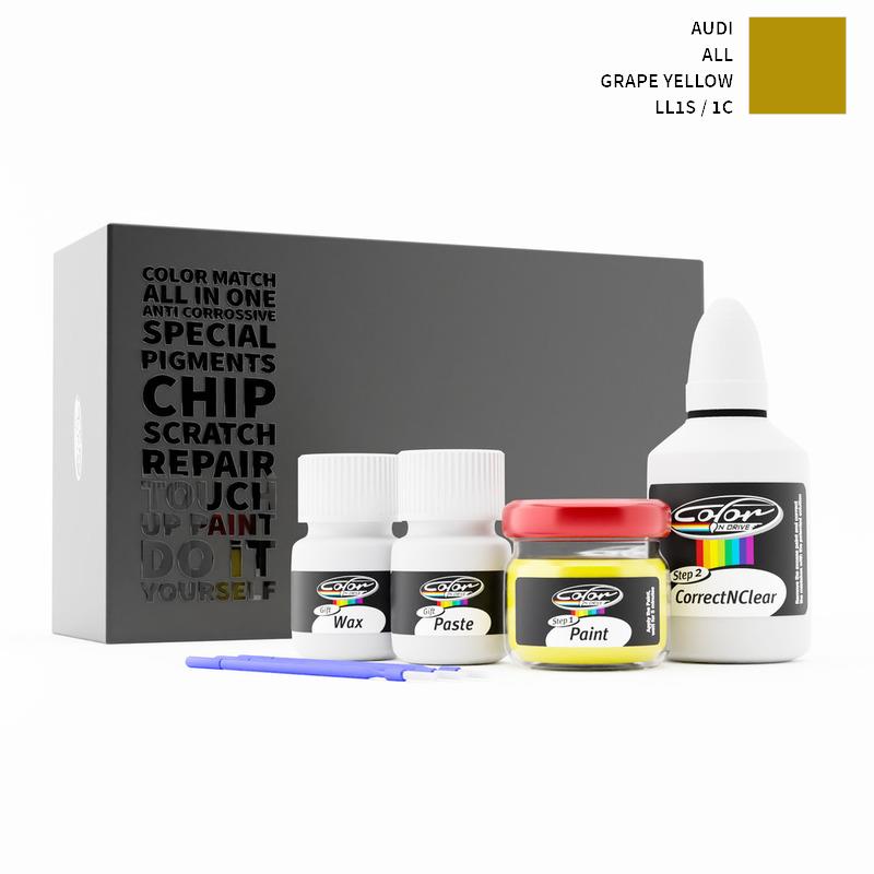 Audi Touch Up Paint Kit