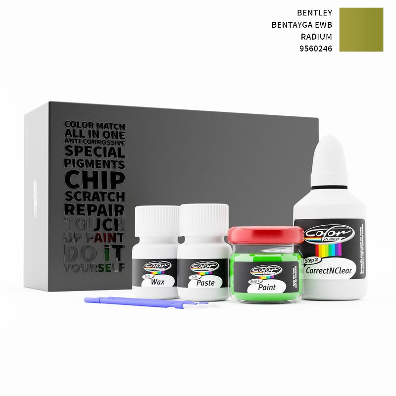 Bentley Touch Up Paint Kit