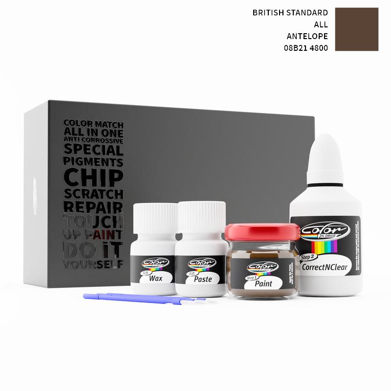 British Standard ALL Antelope 4800 08B21 Touch Up Paint