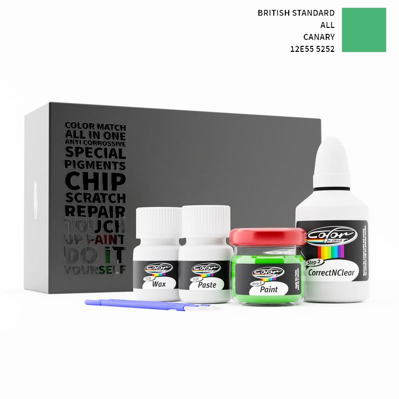 British Standard ALL Canary 5252 12E55 Touch Up Paint