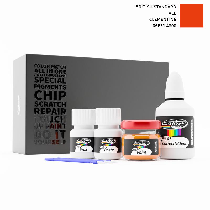 British Standard ALL Clementine 4800 06E51 Touch Up Paint