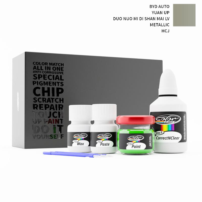 Byd Auto Touch Up Paint Kit