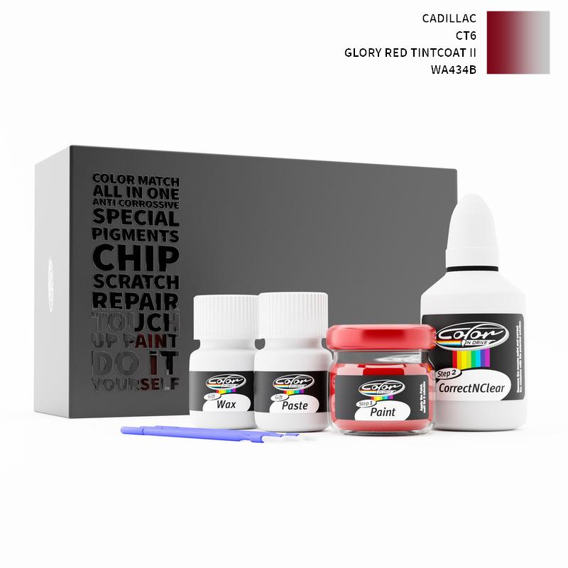 Cadillac Touch Up Paint Kit