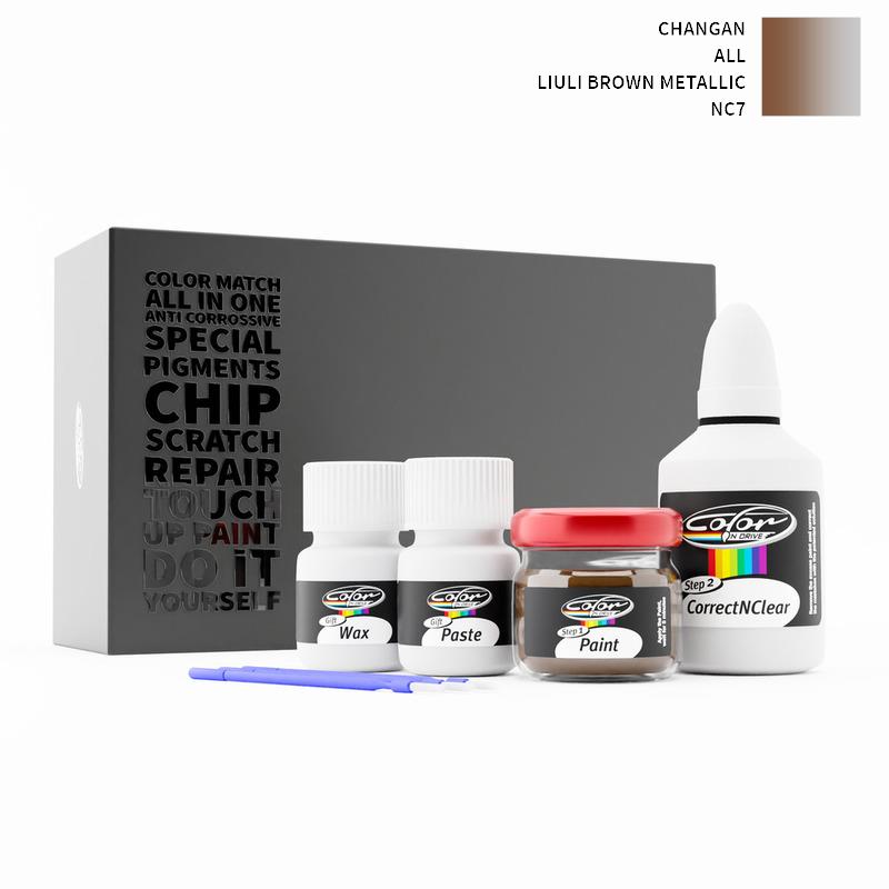 Changan Touch Up Paint Kit