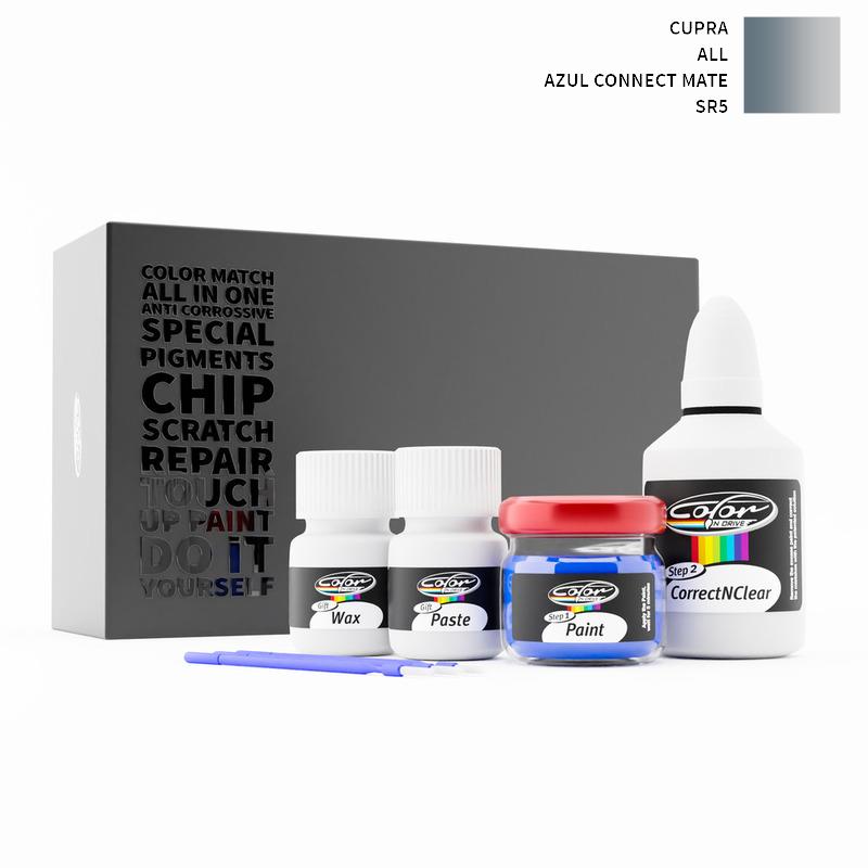 Cupra Touch Up Paint Kit