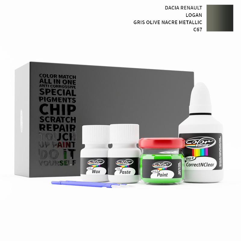 Dacia Renault Touch Up Paint Kit