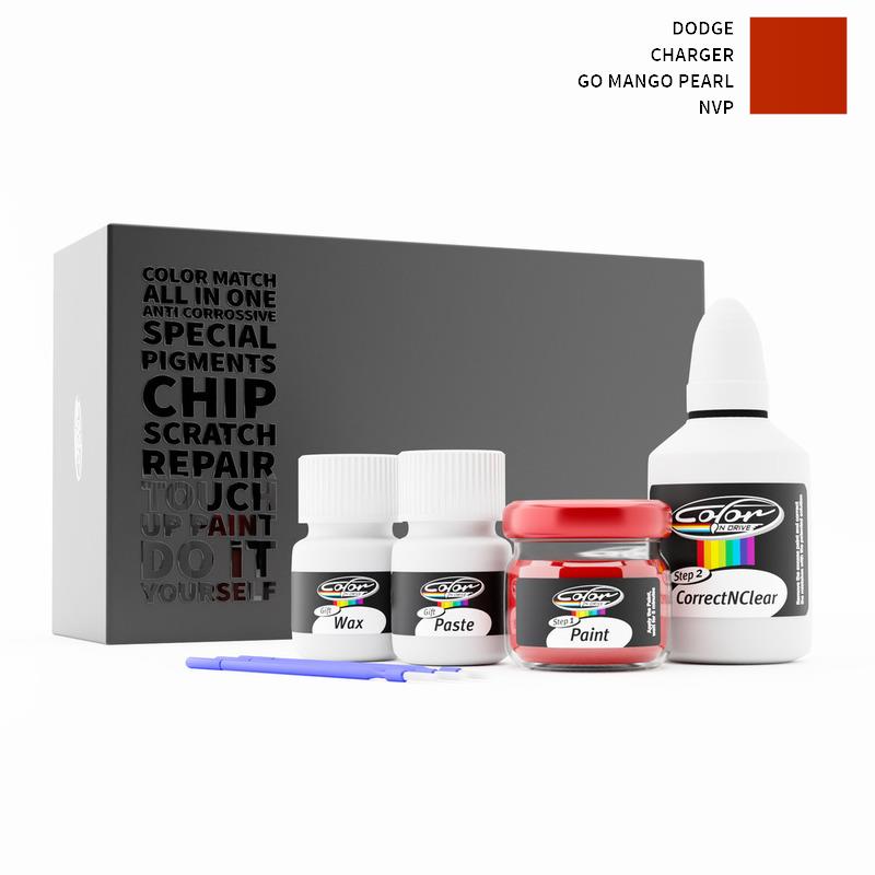 Dodge Touch Up Paint Kit