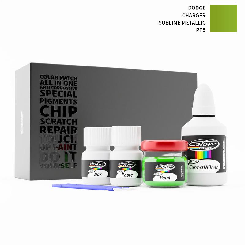 Dodge Touch Up Paint Kit