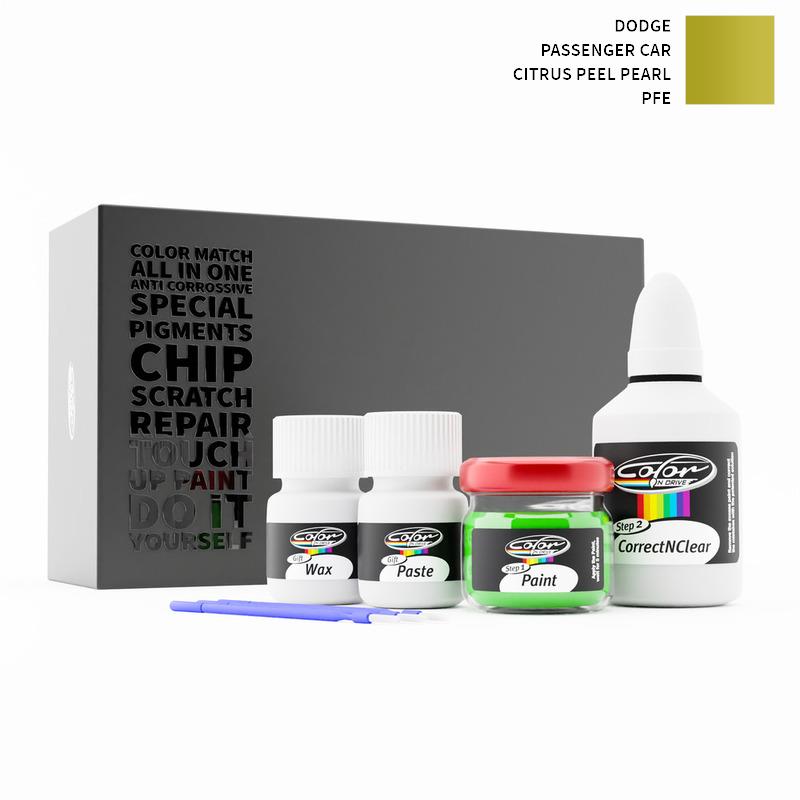 Dodge Touch Up Paint Kit