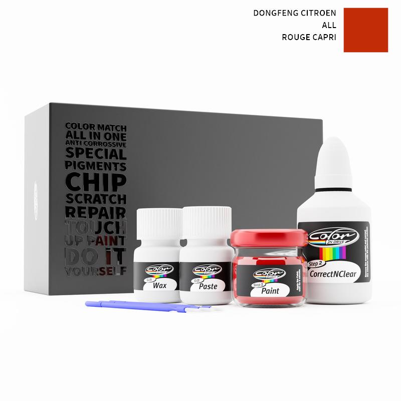 Dongfeng Citroen Touch Up Paint Kit