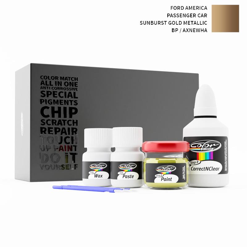 Ford America Touch Up Paint Kit