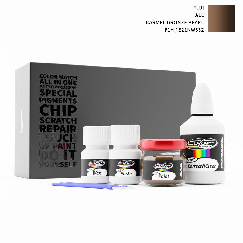 Fuji Touch Up Paint Kit