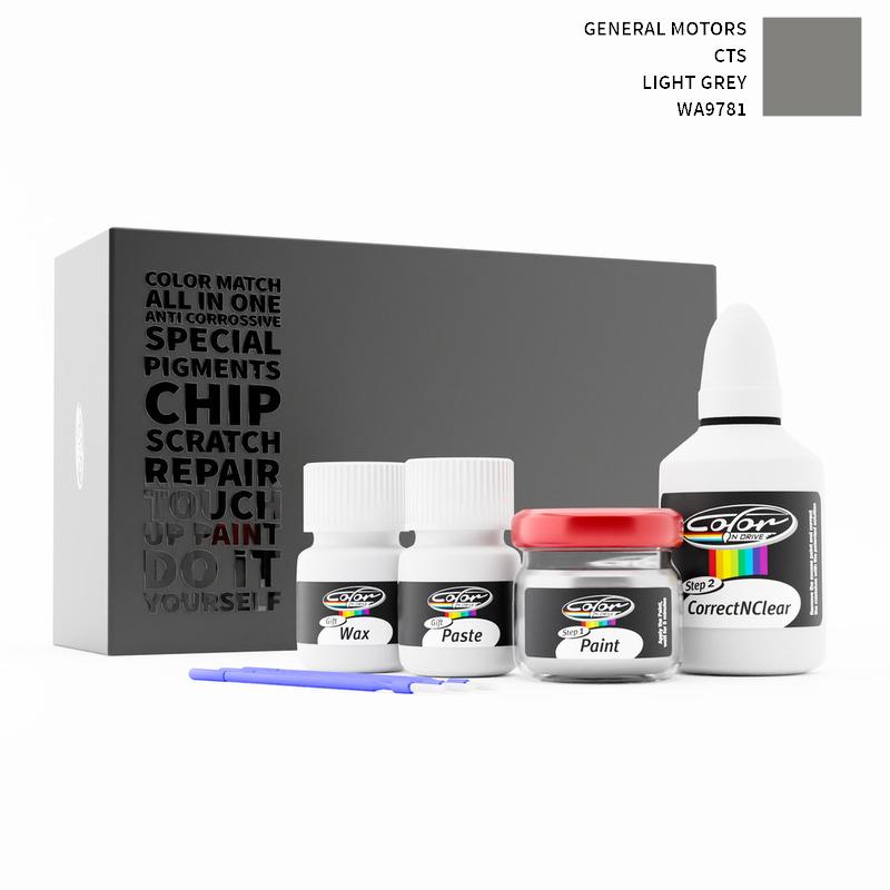 General Motors CTS Light Grey WA9781 Touch Up Paint