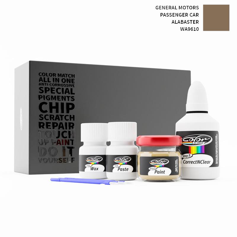 General Motors Touch Up Paint Kit