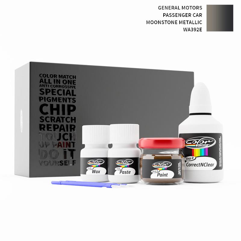General Motors Touch Up Paint Kit