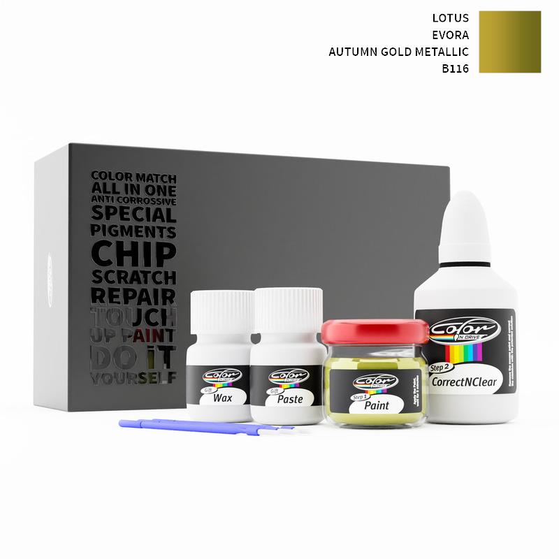 Lotus Touch Up Paint Kit