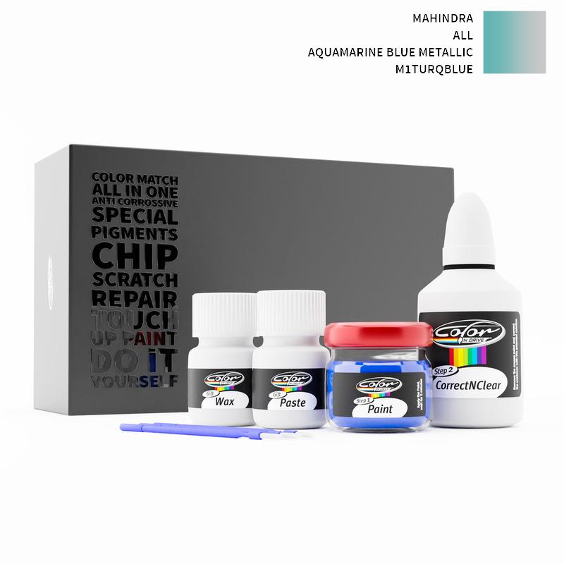 Mahindra Touch Up Paint Kit