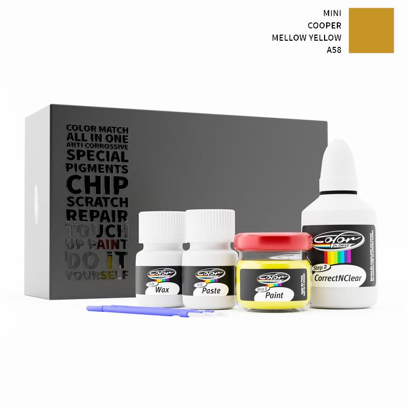 Mini Touch Up Paint Kit