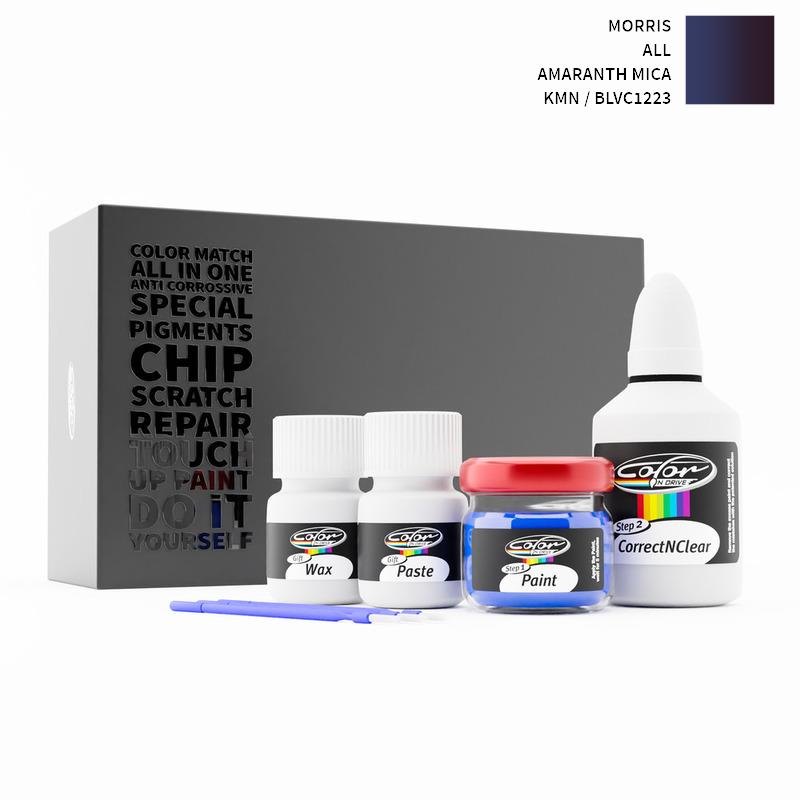 Morris Touch Up Paint Kit