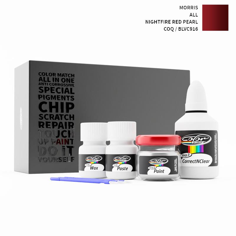 Morris Touch Up Paint Kit