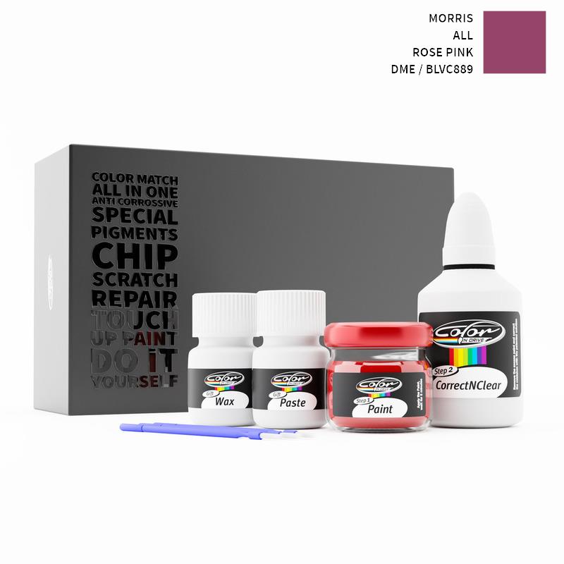Morris Touch Up Paint Kit