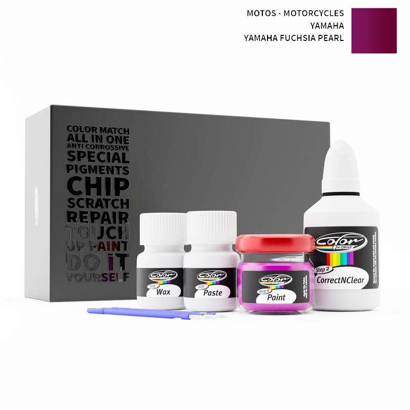 Motos - Motorcycles Touch Up Paint Kit